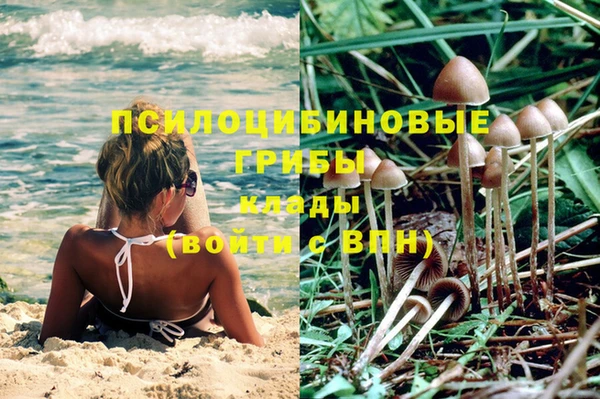 амф Алексеевка